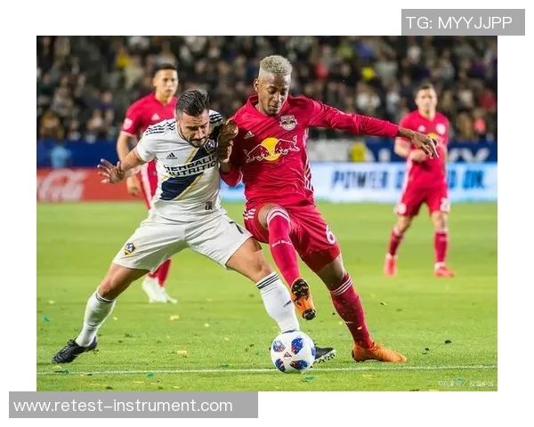 纽约城与波兰特伐木的对决谁能在城市与自然之间找到平衡