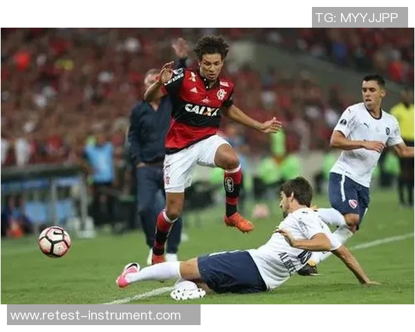 阿根廷足球队与弗拉门戈的精彩对决引发全球关注与热议